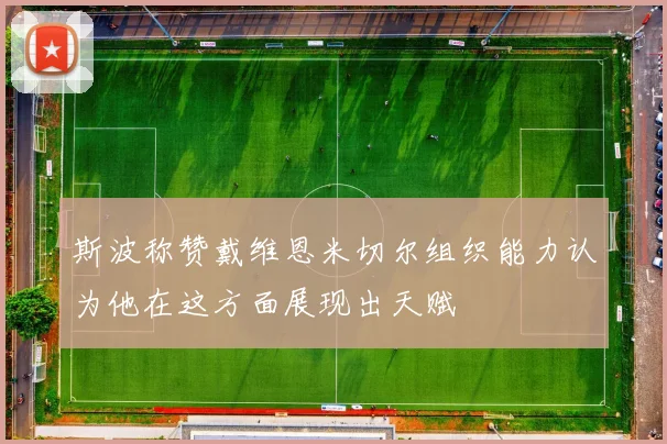 斯波称赞戴维恩米切尔组织能力认为他在这方面展现出天赋